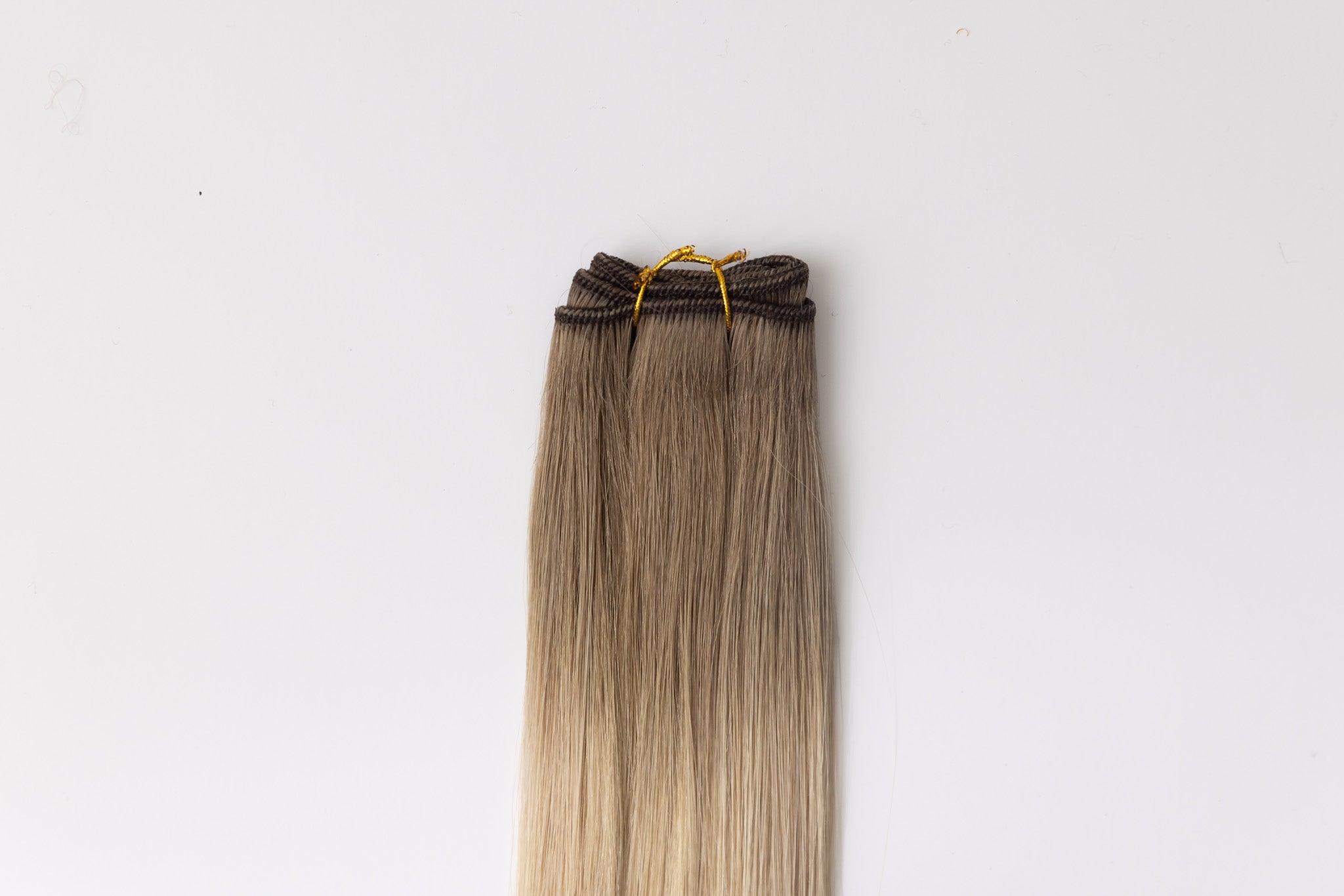 Toasted Coconut Machine Wefts - Christian Michael Hair Extensions